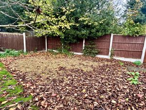 Rear Garden- click for photo gallery